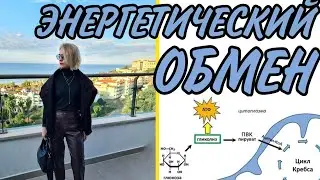 ЭНЕРГЕТИЧЕСКИЙ ОБМЕН: ПОДГОТОВИТЕЛЬНЫЙ ЭТАП,ГЛИКОЛИЗ,ДЫХАНИЕ