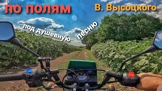 НА МОПЕДЕ ЗИД 50 ПО ПОЛЯМ ПОД ДУШЕВНУЮ ПЕСНЮ В.ВЫСОЦКОГО.