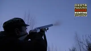 Охота на вальдшнепа. Красивые выстрелы.