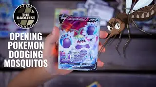 Mosquitos Attack While We Open Pokemon Card Packs