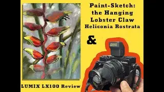 Coral Gables Paint-Sketch & Panasonic Lumix LX100 Review   HD 1080p