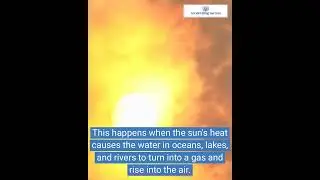 Short - Water Vapor 