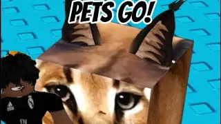 ROBLOX PETS GO