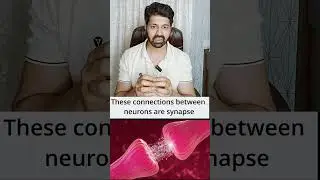 Decoding Sushant Singh Rajput s words on learning. Brain Neurons Synapse. #learning #sushantsingh