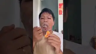 CRUSH FACTZ YT p514  😱🐕🤯 #shorts, #ytshorts #shortsvideo