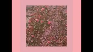 betoad  - .ennui for two