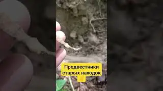 Если они попадаются, значит мы в нужном месте🫣#shorts