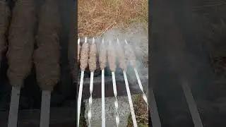 21 августа 2024 г.