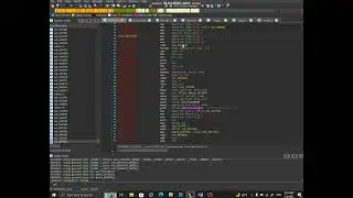 HOW TO FIND ROBLOX FUNCTIONS IN IDA! FULL TUTORIAL!