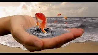 Мой отзыв о команде Успех.