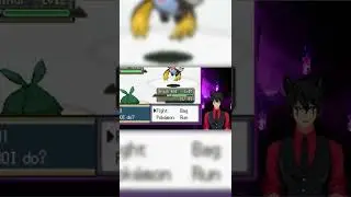 The toxic spikes | Pokemon Radical Red Nuzlocke Randomizer 