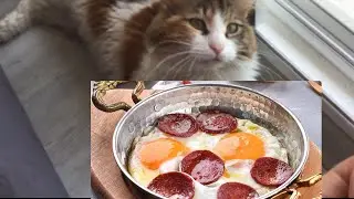 Kahvaltı hazırlayalım (mini kahvaltı hazırlama VLOGU)