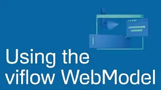 Using the viflow WebModel