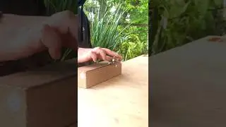 Fingerboard tricks 
