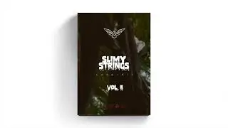 Loop-Kit: Slimy Strings Vol. 2 | Young Thug, Gunna, Roddy Ricch Guitar Loop Pack | Preview