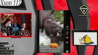 Reakce Na Reely
