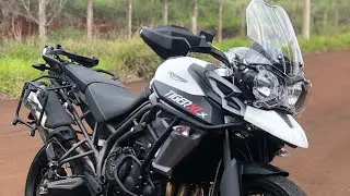 Video Tiger 800 Para Status 🚀