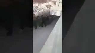 Снято видео как Асскары берут пленных террористов в Сирии .