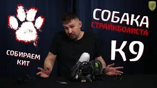 Собака в страйкболе одежда защита