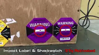 【ShockWatch Vs. Impact Label】Impact Test on Plywood Case: 2 Leading Brands Comparison