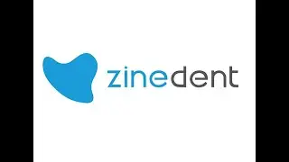 Zinedent 2019