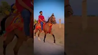 horse lovers 🔥 || horse riding || 