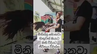 ජීවිතය විදින්න ❤️