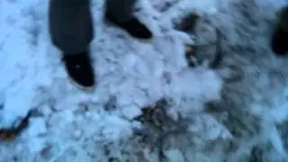 Как вскипятить воду без бутылки на природе