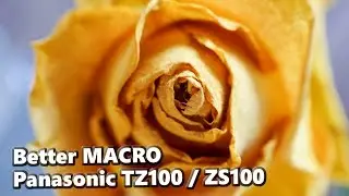 How to Take Better Macro (not only) with Panasonic Lumix TZ100/ZS100