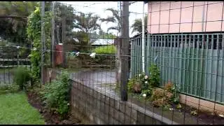 Panorámica