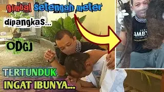 AMAZING, SEtelah Rambut Gimbalnya Dipangkas dan Mandi, ODGJ Ingat Keluarganya | BELAJAR HIDUP