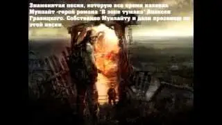 Сталкер в Зоне Тумана. Песня Мунлайта