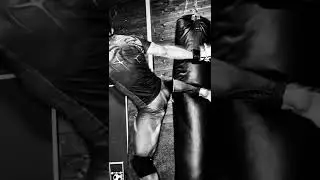 MMA sports 総合格闘技photography 写真　#shorts #photography #写真