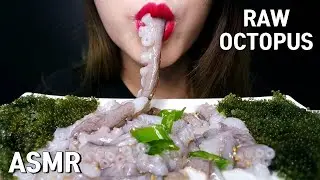 ASMR RAW OCTOPUS + SEA GRAPES MUKBANG~낙지탕탕이 + 바다포도 리얼사운드 먹방! EATING SOUNDS タコ ปลาหมึกยักษ์