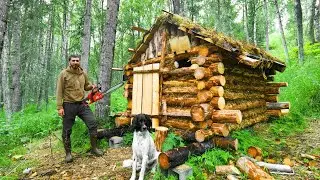 Building a Tiny Log Cabin: Full build, start to finish