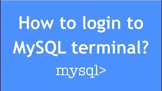 How to login to MySQL terminal?