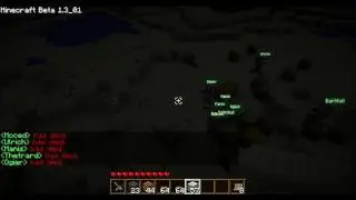 Minecraft Wars: Pirates vs. Guards