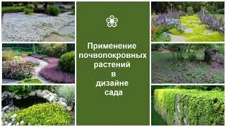 ❀ Применение почвопокровных растений в дизайне сада