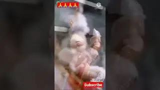 Jai dev jai dev #shorts #short #ganpati #ganesha #ganeshchaturthi