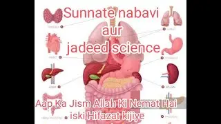 Jism ki hifazat | Human body Part | Sunnate nabavi aur jadeed science #bodybuilding #islamicvideos