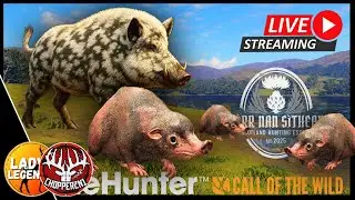 Hunt for the ELUSIVE WILD HAGGIS with @Chopper2N1 - LIVE!!!