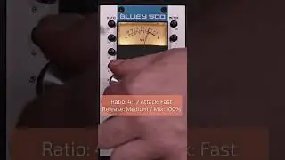 Bluey 500 Audio Demo: Soul Vocal #shorts