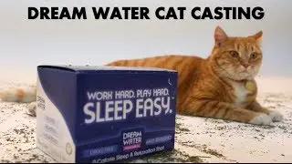 YouTube's First Ever Cat Casting (PRANK VIDEO)