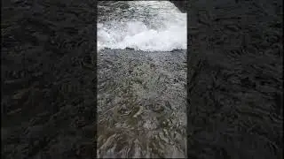 No Copyright Shorts - Water Stream Slow-motion - No Copyright Zone