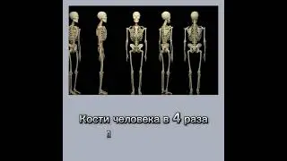 #интересные факты
