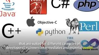 top 5 programming languages you should learn