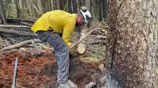 Grunts on the Hunt - Wells Wildfire 5!!