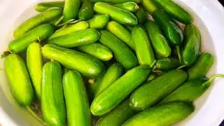 САЛАТ ИЗ ОГУРЦОВ.ВКУСНЫЙ И ХРУСТЯЩИЙ))