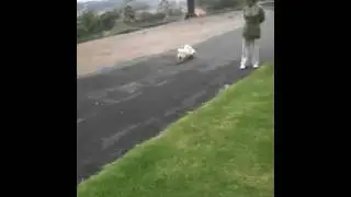 Kharma and Skye race at the Park