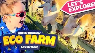 Green Dragon Eco Farm | Ollie's Adventures